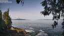 ./images/koeye/fitz-hugh/20260517/fitz-hugh20260517_101001M.jpg
