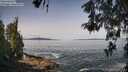 ./images/koeye/fitz-hugh/20260517/fitz-hugh20260517_102501M.jpg