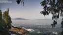 ./images/koeye/fitz-hugh/20260517/fitz-hugh20260517_103001M.jpg