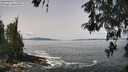 ./images/koeye/fitz-hugh/20260517/fitz-hugh20260517_115501M.jpg