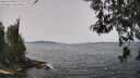 ./images/koeye/fitz-hugh/20260517/fitz-hugh20260517_124001M.jpg