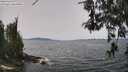 ./images/koeye/fitz-hugh/20260517/fitz-hugh20260517_124501M.jpg