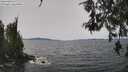 ./images/koeye/fitz-hugh/20260517/fitz-hugh20260517_133501M.jpg