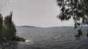 ./images/koeye/fitz-hugh/20260517/fitz-hugh20260517_134001M.jpg