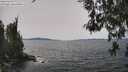 ./images/koeye/fitz-hugh/20260517/fitz-hugh20260517_134501M.jpg