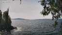 ./images/koeye/fitz-hugh/20260517/fitz-hugh20260517_142001M.jpg