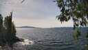 ./images/koeye/fitz-hugh/20260517/fitz-hugh20260517_143501M.jpg