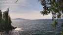 ./images/koeye/fitz-hugh/20260517/fitz-hugh20260517_144001M.jpg