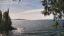 ./images/koeye/fitz-hugh/20260517/fitz-hugh20260517_144501M.jpg
