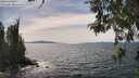 ./images/koeye/fitz-hugh/20260517/fitz-hugh20260517_145002M.jpg