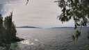 ./images/koeye/fitz-hugh/20260517/fitz-hugh20260517_150001M.jpg