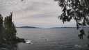 ./images/koeye/fitz-hugh/20260517/fitz-hugh20260517_151502M.jpg