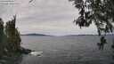 ./images/koeye/fitz-hugh/20260517/fitz-hugh20260517_152002M.jpg