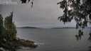 ./images/koeye/fitz-hugh/20260517/fitz-hugh20260517_185002M.jpg