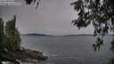 ./images/koeye/fitz-hugh/20260517/fitz-hugh20260517_195002M.jpg