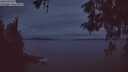 ./images/koeye/fitz-hugh/20260518/fitz-hugh20260518_044501M.jpg
