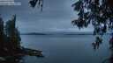 ./images/koeye/fitz-hugh/20260518/fitz-hugh20260518_051001M.jpg