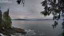 ./images/koeye/fitz-hugh/20260518/fitz-hugh20260518_061502M.jpg
