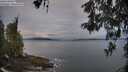 ./images/koeye/fitz-hugh/20260518/fitz-hugh20260518_062002M.jpg