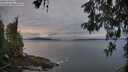 ./images/koeye/fitz-hugh/20260518/fitz-hugh20260518_062502M.jpg