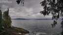 ./images/koeye/fitz-hugh/20260518/fitz-hugh20260518_080001M.jpg