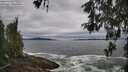 ./images/koeye/fitz-hugh/20260518/fitz-hugh20260518_094502M.jpg