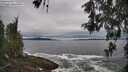 ./images/koeye/fitz-hugh/20260518/fitz-hugh20260518_095002M.jpg