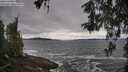 ./images/koeye/fitz-hugh/20260518/fitz-hugh20260518_103001M.jpg