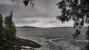 ./images/koeye/fitz-hugh/20260518/fitz-hugh20260518_103502M.jpg
