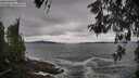 ./images/koeye/fitz-hugh/20260518/fitz-hugh20260518_104002M.jpg