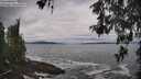 ./images/koeye/fitz-hugh/20260518/fitz-hugh20260518_111502M.jpg