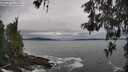 ./images/koeye/fitz-hugh/20260518/fitz-hugh20260518_114502M.jpg