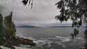 ./images/koeye/fitz-hugh/20260518/fitz-hugh20260518_115501M.jpg