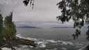 ./images/koeye/fitz-hugh/20260518/fitz-hugh20260518_120501M.jpg