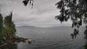 ./images/koeye/fitz-hugh/20260518/fitz-hugh20260518_140001M.jpg