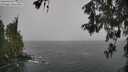 ./images/koeye/fitz-hugh/20260518/fitz-hugh20260518_155001M.jpg