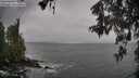 ./images/koeye/fitz-hugh/20260518/fitz-hugh20260518_174001M.jpg