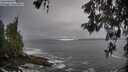 ./images/koeye/fitz-hugh/20260518/fitz-hugh20260518_194501M.jpg