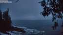 ./images/koeye/fitz-hugh/20260518/fitz-hugh20260518_215501M.jpg