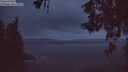 ./images/koeye/fitz-hugh/20260519/fitz-hugh20260519_044501M.jpg