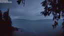 ./images/koeye/fitz-hugh/20260519/fitz-hugh20260519_045501M.jpg