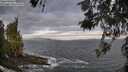 ./images/koeye/fitz-hugh/20260519/fitz-hugh20260519_063001M.jpg