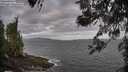 ./images/koeye/fitz-hugh/20260519/fitz-hugh20260519_071502M.jpg