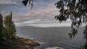 ./images/koeye/fitz-hugh/20260519/fitz-hugh20260519_075502M.jpg