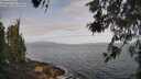 ./images/koeye/fitz-hugh/20260519/fitz-hugh20260519_083501M.jpg