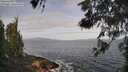 ./images/koeye/fitz-hugh/20260519/fitz-hugh20260519_084001M.jpg