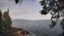 ./images/koeye/fitz-hugh/20260519/fitz-hugh20260519_084501M.jpg