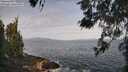 ./images/koeye/fitz-hugh/20260519/fitz-hugh20260519_085001M.jpg