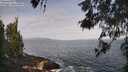 ./images/koeye/fitz-hugh/20260519/fitz-hugh20260519_085502M.jpg