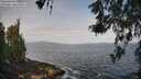 ./images/koeye/fitz-hugh/20260519/fitz-hugh20260519_091501M.jpg